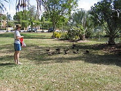 CairnsTC066 Centenary Lakes